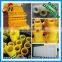 Customized fabrication Injection molding plastic pipe