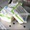 Shanghai Tiangang Automatic Commercial Tofu packing Machine