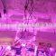 Cob led grow light lamp 150w small grow lamp for grow tent