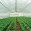 High quality plastic greenhouse price for tomato