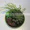 brand name plastic small multicapacity process artificial round plate bonsai decor