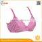 HSZ-58071 Top Brand Women Sexy Bra Underwear Printing Design For Ladies Extreme Push Up Bras