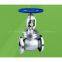 API globe valve