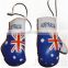 Mini Boxing Gloves for Car Hanging / , dual strap boxing gloves in all sizes available/ Sparring Gloves