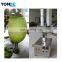 Industrial Stainless Steel Electric Automatic fruit and vegetable peeling machine/fruit peeler