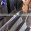  china online shopping price stainless 63x63x5 mill test certificate steel angle bar allibaba com