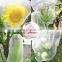 anti-insect net tent with zipper for cover fruit tree protection mesh bag low price