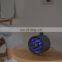 Portable Uv Mosquito Repellent Lamp Pest Insect Killing lamp USB Powered Led Fly Trap Light Electric Mosquito Killer Lamp