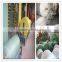 polypropylene woven fabrics and sacks/pp woven fabrics/pp woven rolls