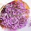 Low price hot selling decorative gypsophila bush