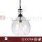 CASAMOTION Indoor Globe Glass Ball Ceiling Pendant Light