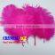 Real Natural Ostrich Feathers for Canival, Festival Decorative Feathers Wholesale