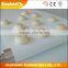 Elephant Belt PVC Light Duty Production Line Conveyor Belt