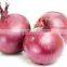 Red, yellow and white onion