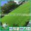 Chinese Factory Soccer Grass Carpet Decorative Artificial Grass for Football