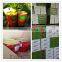 Canned tomato paste manufacturer
