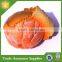 Resin 3D Fridge Magnet , Fruit Fridge Magnet , Promotional Fridge Magnet