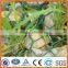 Galvanized Hexagonal Wire Netting