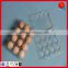 Plastic tray for egg packaging in glassclear