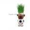 Desktop Decoration Flower Pot Mini Garden Pots Indoor Planters