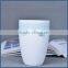 Wholesale promotion gift elegant ceramic cups and mugs