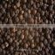 indian black pepper/black papper exporter in india/whole indian pepper