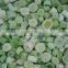 hot sale IQF scallion cut with good quality for sale