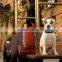 Heavy duty dog food travel pack