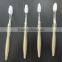 Professional OEM/ODM wholesale toothbrush distributors