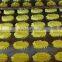 OMEGA commercial automatic cake/cookie depositors