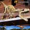 MY Dino-C066 Realistic life size dinosaur skull/skeleton