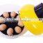 High Hatching Rate Best Selling ZH-8 Egg Incubator for Sale, Dual Power Incubator Mini