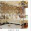 transparent titanium coated design mirror glass