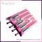 professional 10pcs cosmetic brush set