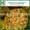 2016 New Crop Chinese fresh good quality ginger from professional factory