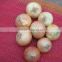 Yellow Onions WITH HIGH QUALITY FROM EGYPT