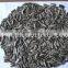 Top quantity Chinese sunflower oil seeds in shell 5009 with market price