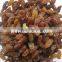 wholesale top quality raisin(sun dried)