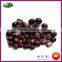 Organic Fresh Yanshan Chinese Chestnut