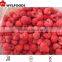 frozen raspberry 2015 best price high quality