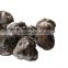 New products fresh frozen tuber indicum truffle