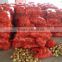 China Leading wholesale Professional Onion in Bulk