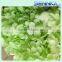 Wholesale fresh flowers preserved flowers from china home decor preserved hydrangea