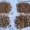 Asbestos Free Crude Vermiculite For Steel Industry, Foundary Insulation