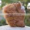 Popular hot sell cool squirrel stuffed animals