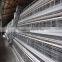 automatic chicken layer cage