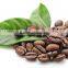 Natural Green Coffee Bean/Supply Green Coffee Bean/Wholesale Green Coffee Beans Extract