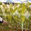 Drip Irrigation Kit Soaker Hose 20 Rows Watering System Drip Tape