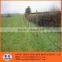 manufactory cheap Galvanized Ranch Fence made in china