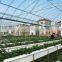 greenhouse price